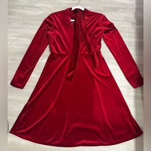 Cranberry Velvet Dress